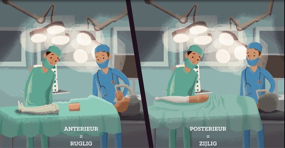 Orthopedie Roeselare blijft verder investeren in zorgpaden en patiënt-educatie - Patient Education Video